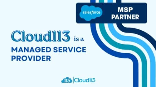 Salesforce Managed Service Provider