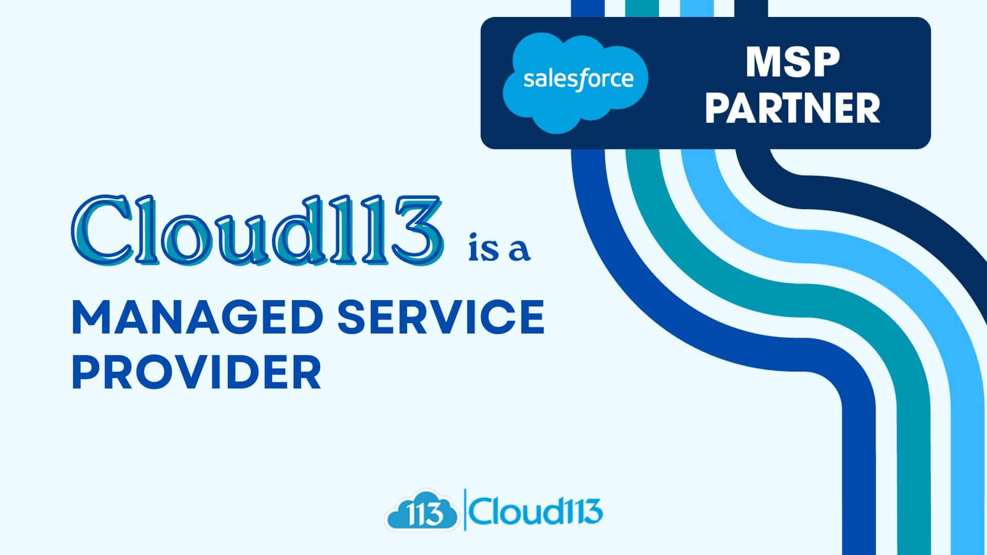 Salesforce Managed Service Provider